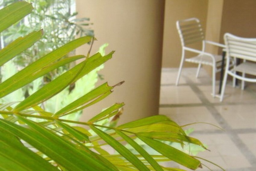 0447 Image-12
