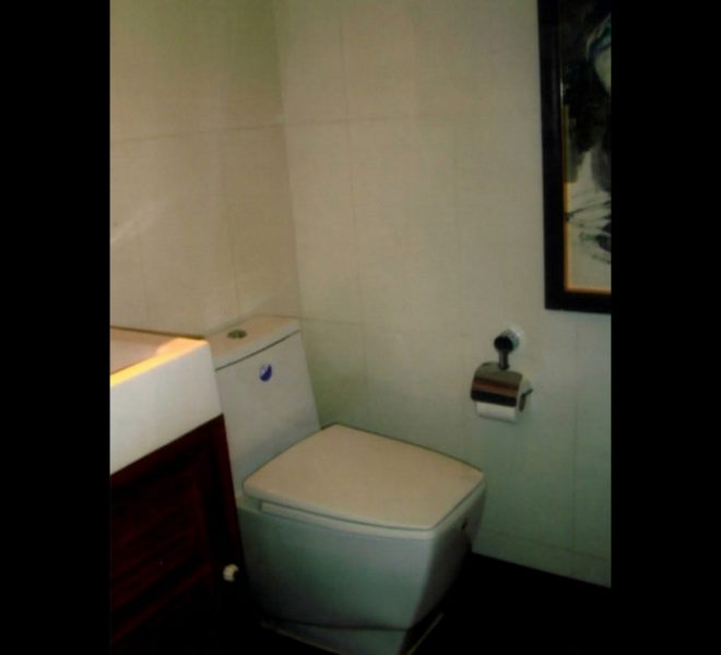 3101update Image-05