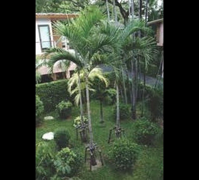8212 Image-23