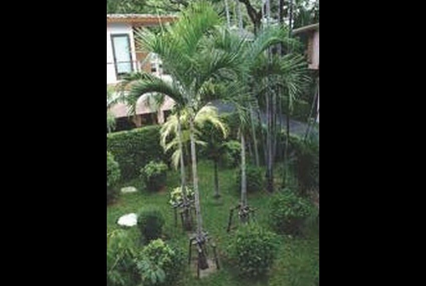 8212 Image-23