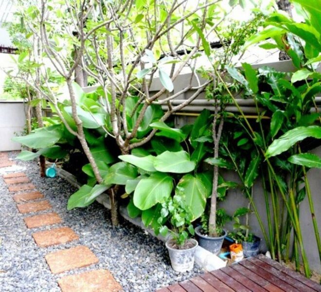 8215 Image-09