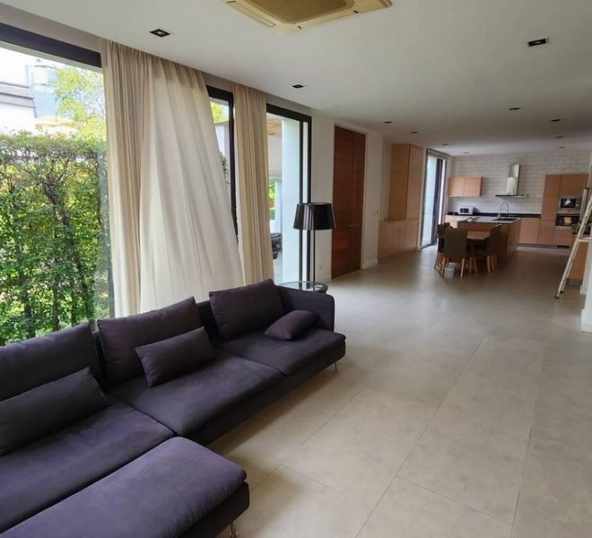 8239 Image-13