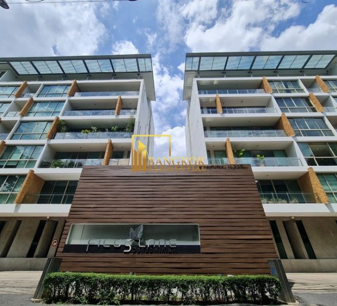 Ficus Lane Image-14