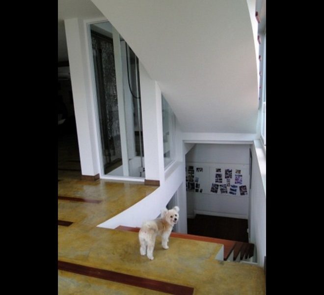 7517 Image-06