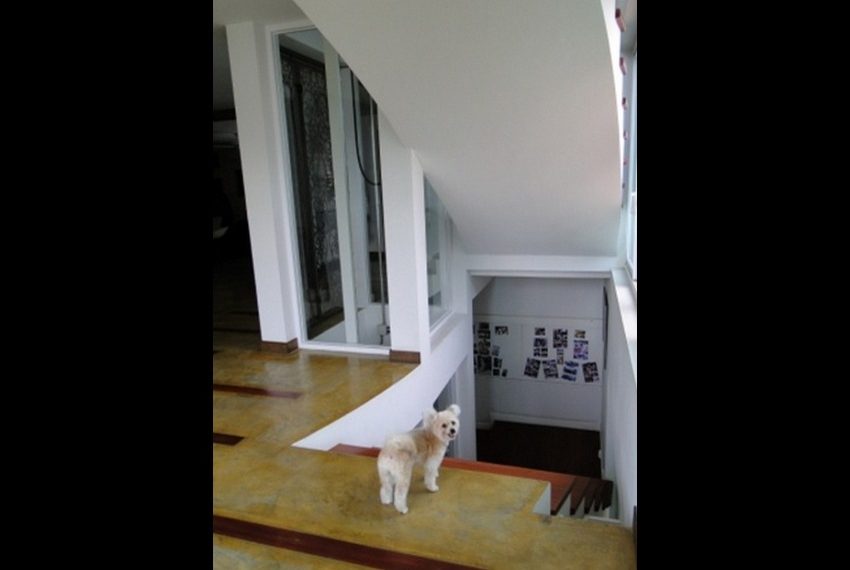 7517 Image-06