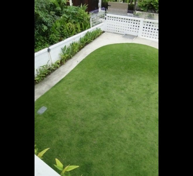 7517 Image-12