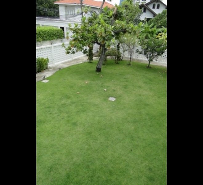 7517 Image-13