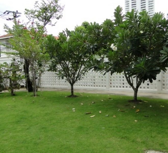7517 Image-17