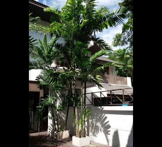 7674 Image-01