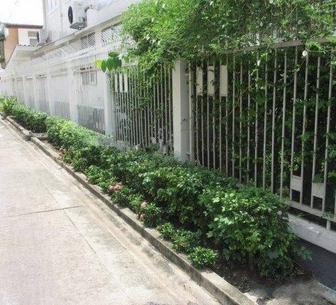 7755 Image-02