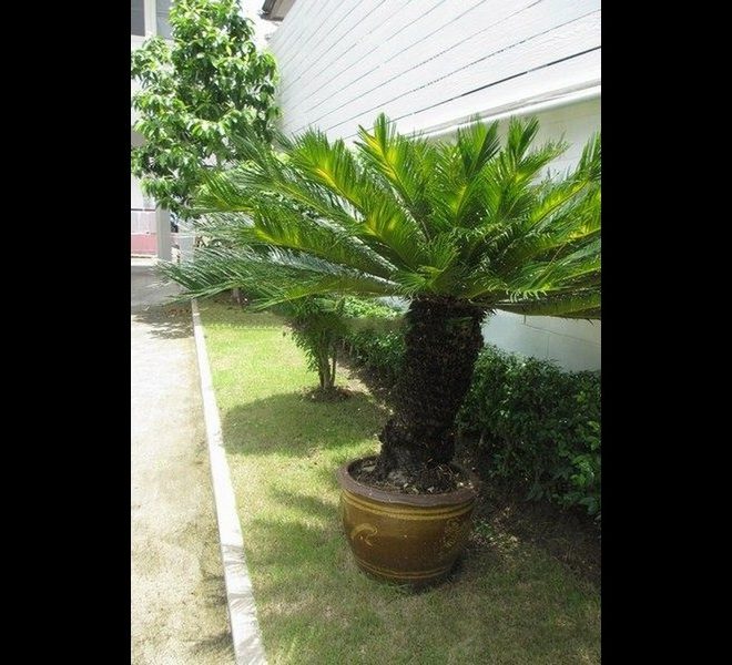 7755 Image-03