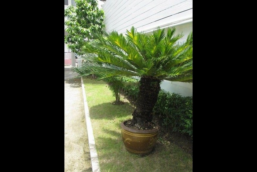 7755 Image-03