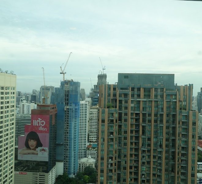 2597 Image-01