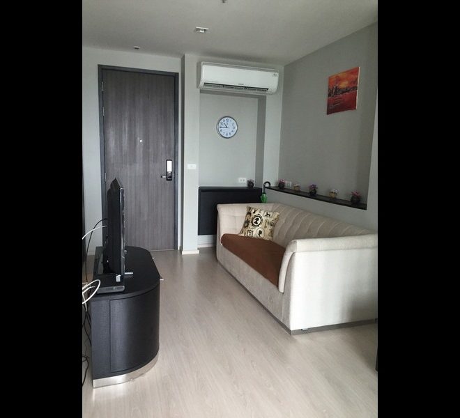 9551 Image-01