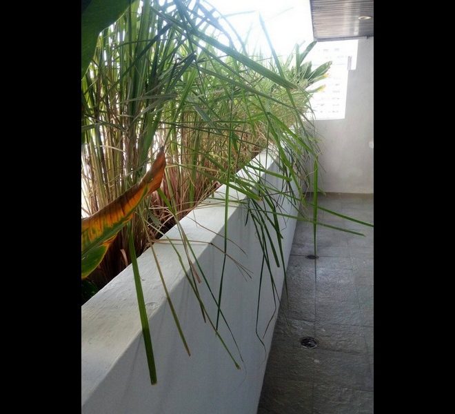 9630 Image-11