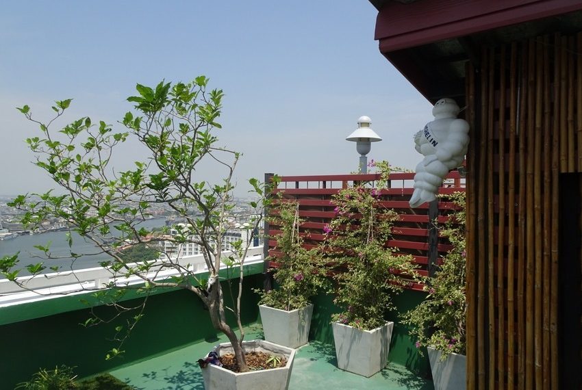 9730 Image-05