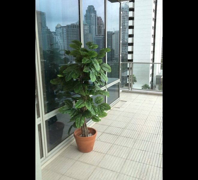 185 Rajadamri Condo For Rent 10514 Image-04