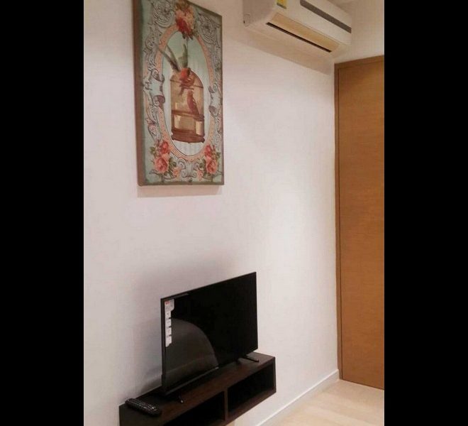 10686 Image-03