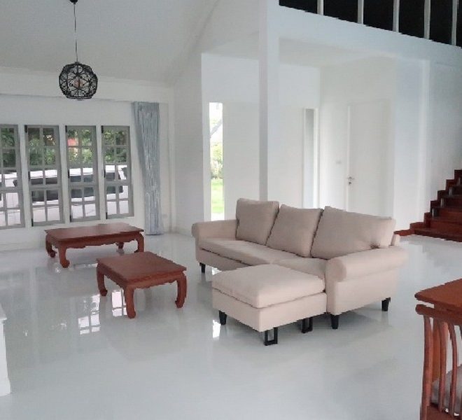 27533 Image-01