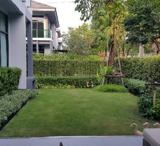 27557 Image-10