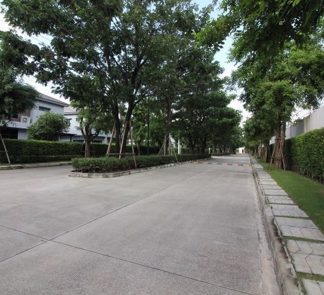 27557 Image-14