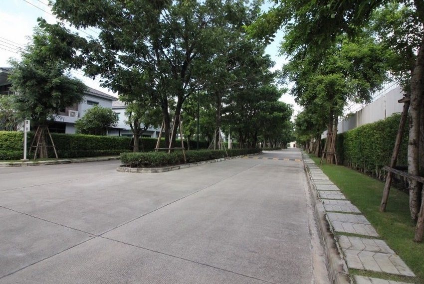 27557 Image-14