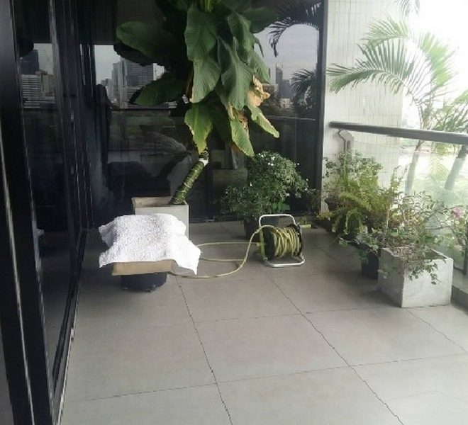 11490 Image-15