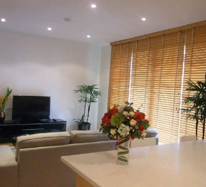11577 Image-02