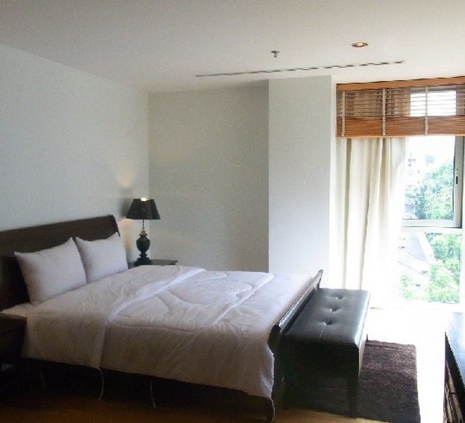 11577 Image-06