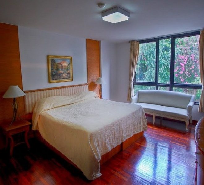 11913 Image-02