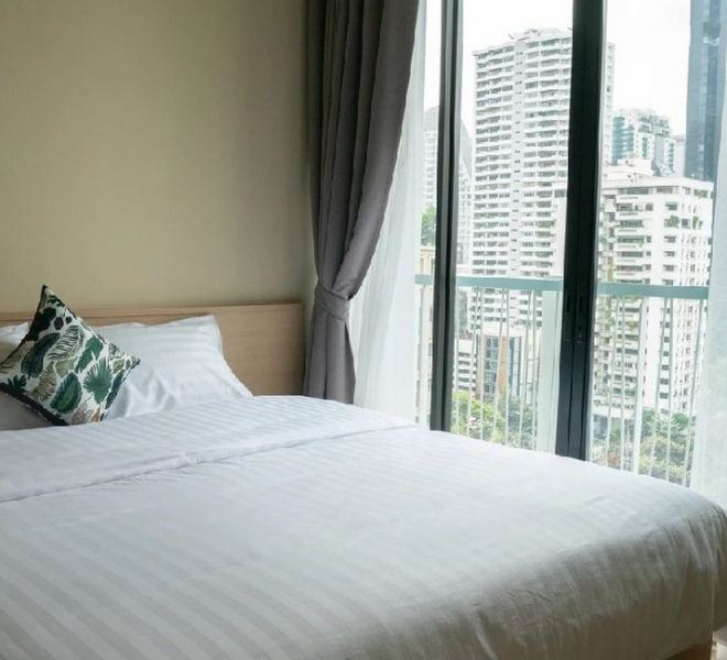 12120 Image-03