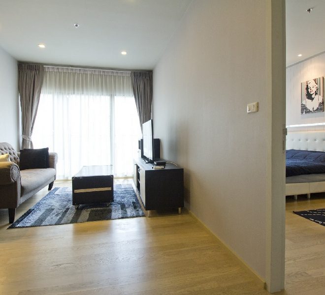 12499 Image-01