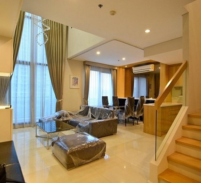 12503 Image-01