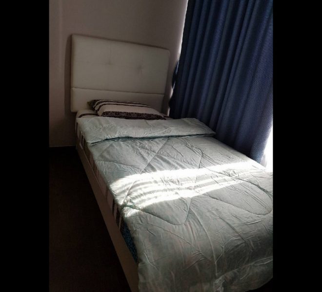 12528 Image-06