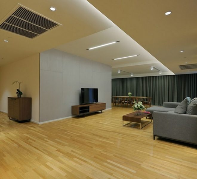 20733 Image-01
