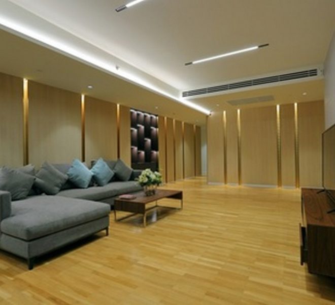 20733 Image-02
