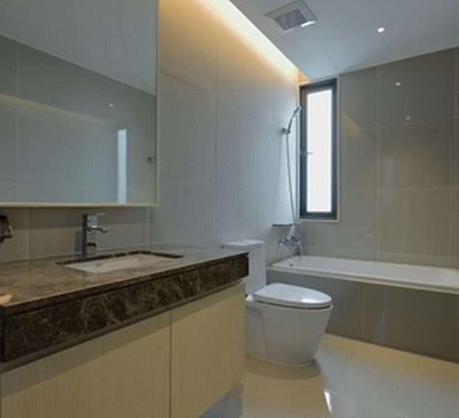 20733 Image-11