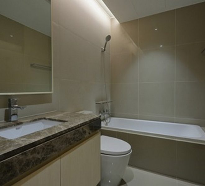 20733 Image-13