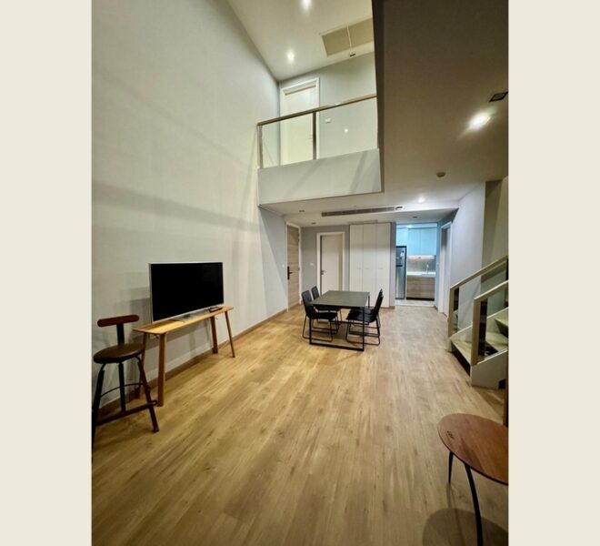 12574 Image-02