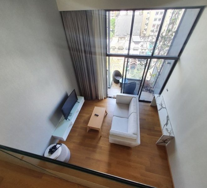 12590 Image-01