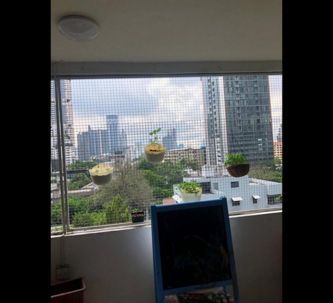 12837 Image-12