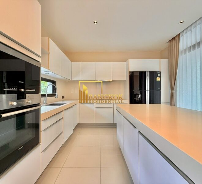 27729 Image-20