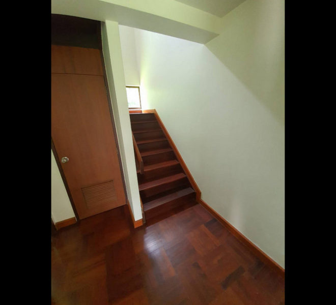 8054new Image-10