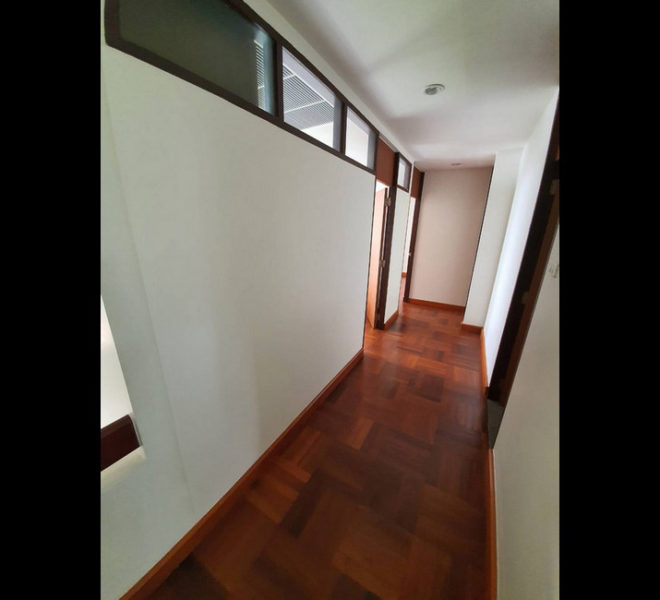 8054new Image-11