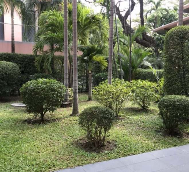 8421 Image-02