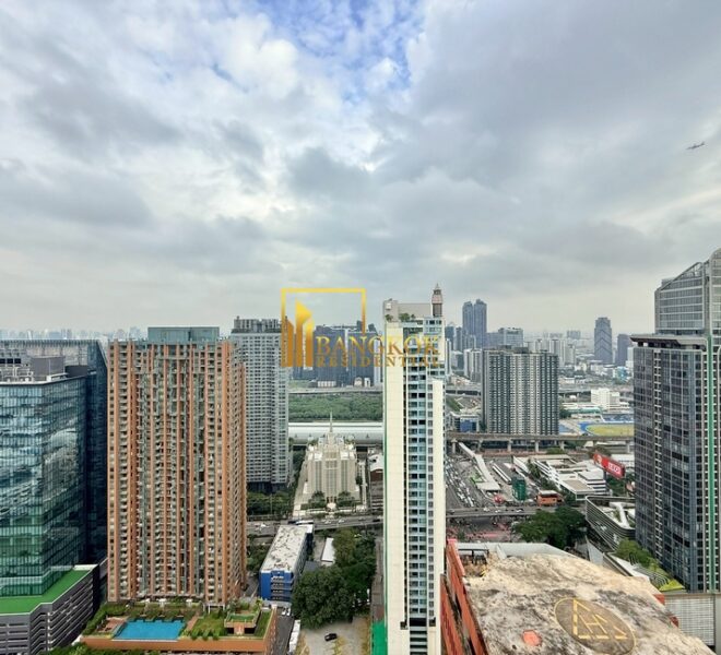 12946 Image-05