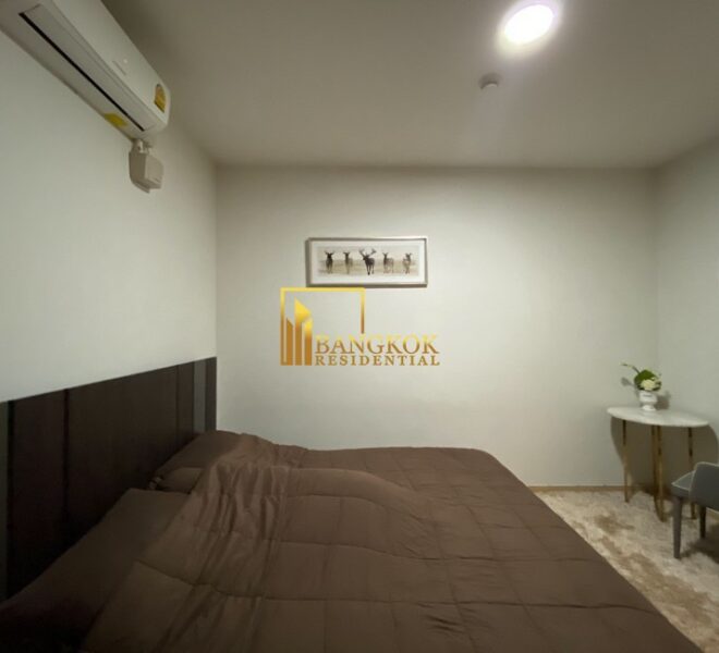 13054 Image-13