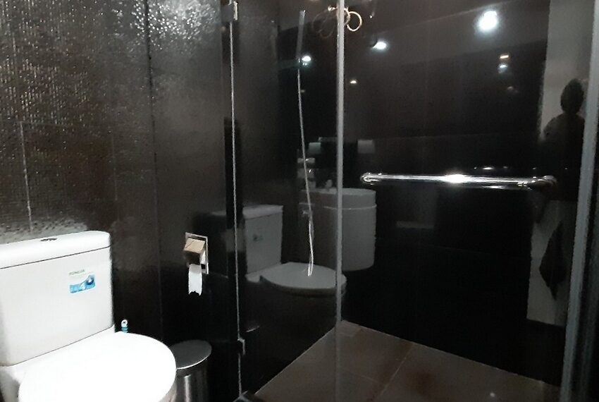 13313 Image-14