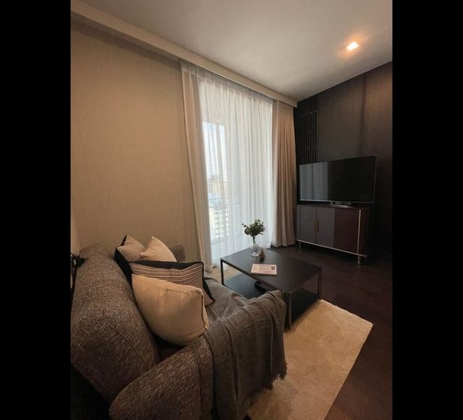 13338 Image-02