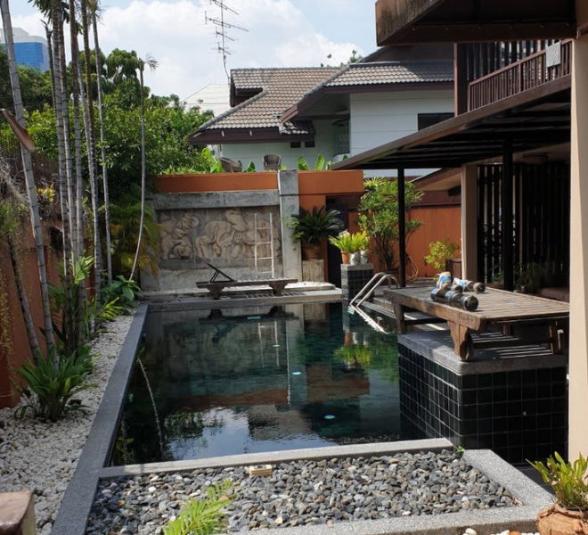 27754 Image-04